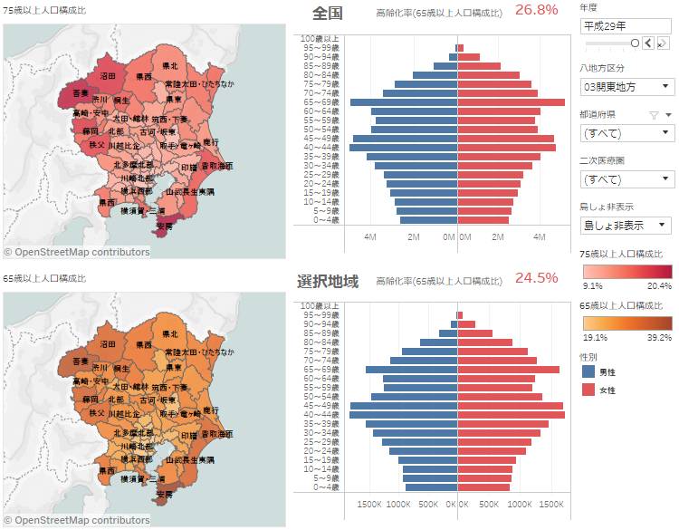 registerbased-populationpyramid-visualization-manual01